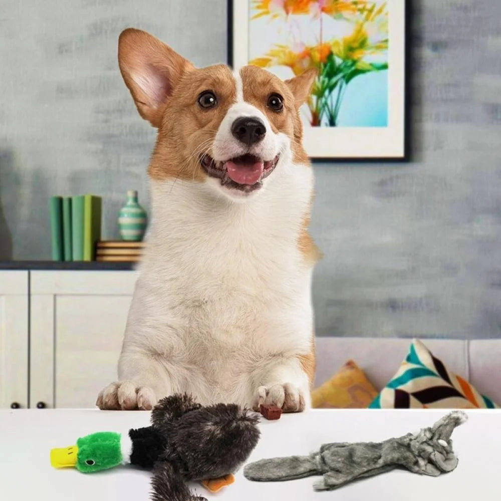 BRAND HOT Sale!5Pcs Fleece Pet Squeaky Dog Chew Toys for Small Large Dogs Bite Resistant Puppy Toy Squeaker Dog Toys Pets Products Dog Supplies